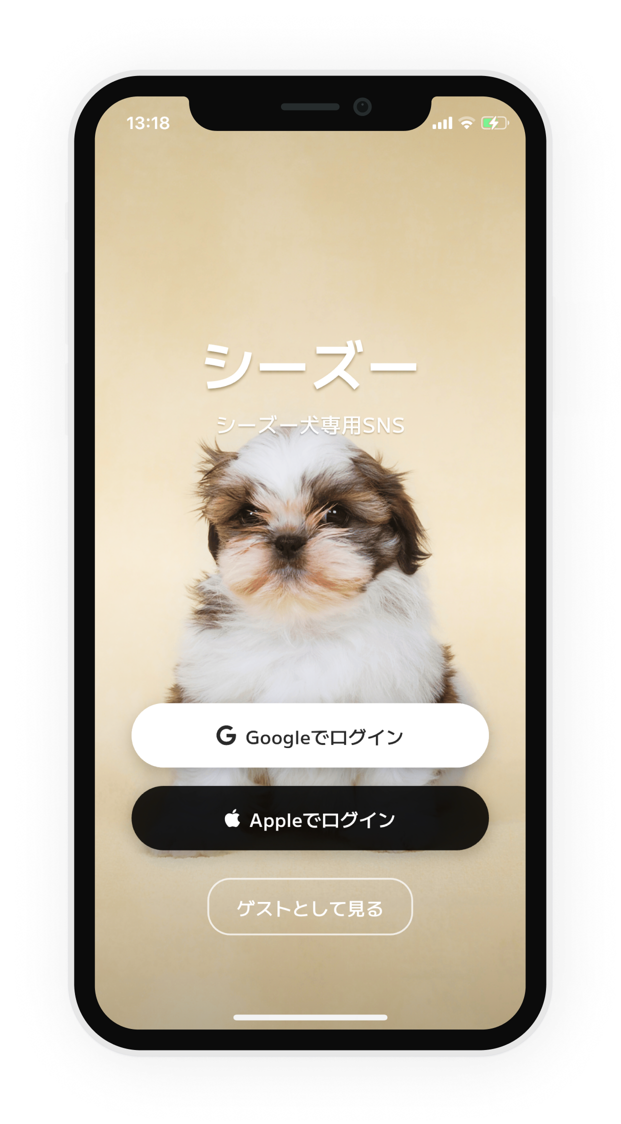 シーズーアプリ画面